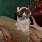  Sproing Pics (84/145)